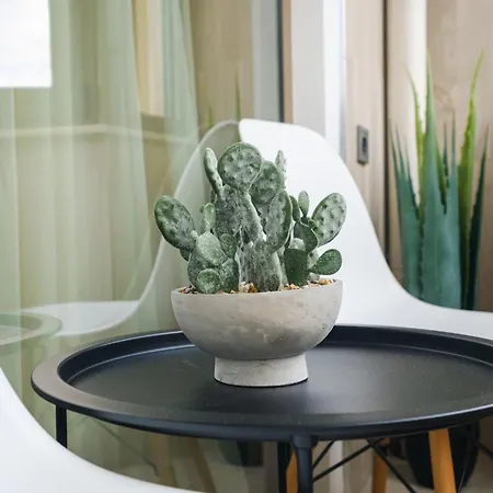 Sam Centre Harmony 1-bedroom * Burgasz